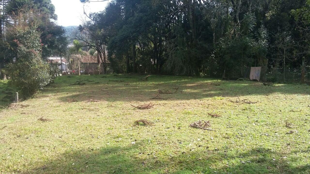 Importada via XML